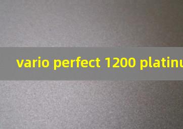 vario perfect 1200 platinum房车